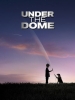 Falling Skies Under The Dome 