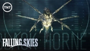 Falling Skies Black Hornet 